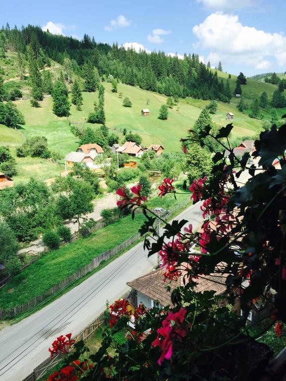 Casa Irinuca Hotel Sadova  Eksteriør billede